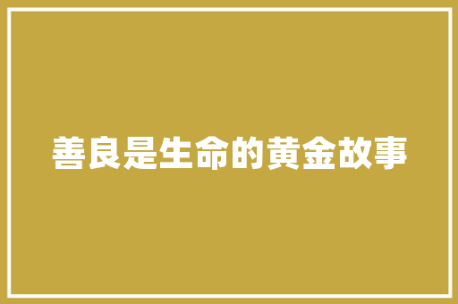 SEO网络优化趋势解码未来搜索引擎营销之路
