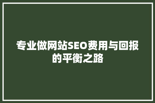 专业做网站SEO费用与回报的平衡之路