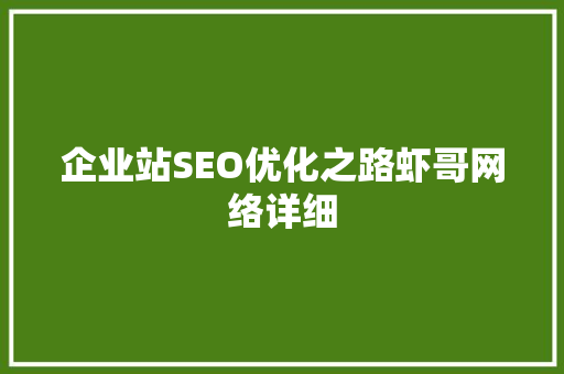 企业站SEO优化之路虾哥网络详细