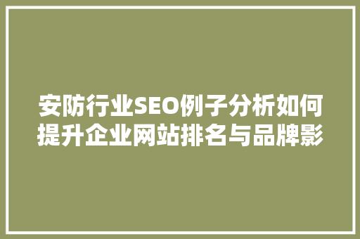 安防行业SEO例子分析如何提升企业网站排名与品牌影响力  第1张