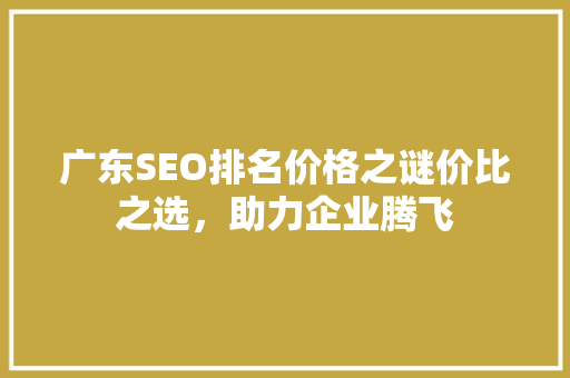 广东SEO排名价格之谜价比之选，助力企业腾飞