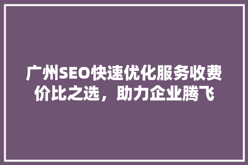 广州SEO快速优化服务收费价比之选，助力企业腾飞