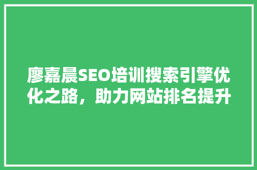 廖嘉晨SEO培训搜索引擎优化之路，助力网站排名提升