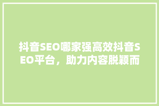 抖音SEO哪家强高效抖音SEO平台，助力内容脱颖而出