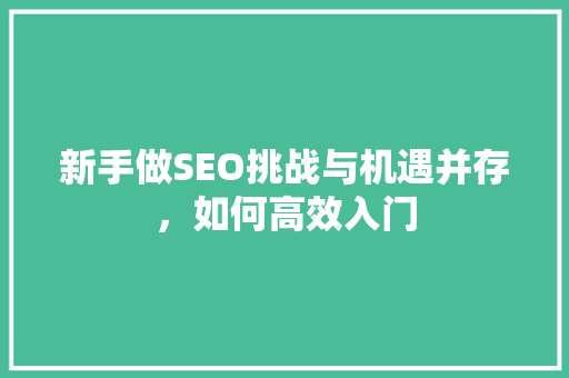 新手做SEO挑战与机遇并存，如何高效入门