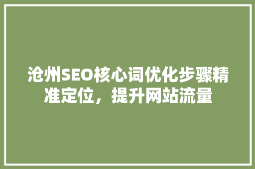 沧州SEO核心词优化步骤精准定位，提升网站流量
