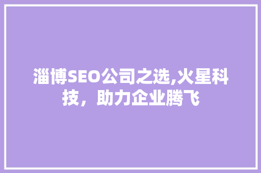 淄博SEO公司之选,火星科技，助力企业腾飞