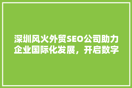 深圳风火外贸SEO公司助力企业国际化发展，开启数字营销新篇章  第1张