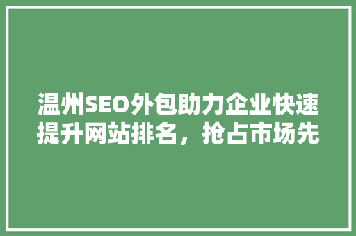温州SEO外包助力企业快速提升网站排名，抢占市场先机