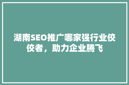 湖南SEO推广哪家强行业佼佼者，助力企业腾飞