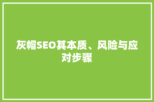灰帽SEO其本质、风险与应对步骤