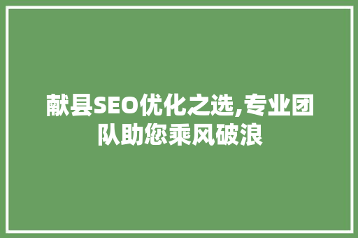 献县SEO优化之选,专业团队助您乘风破浪
