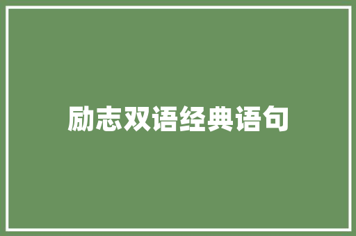 西安SEO按天收费精准营销新选择，助力企业高效推广