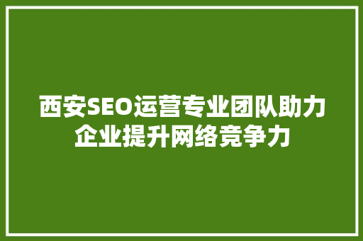 西安SEO运营专业团队助力企业提升网络竞争力