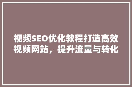 视频SEO优化教程打造高效视频网站，提升流量与转化  第1张