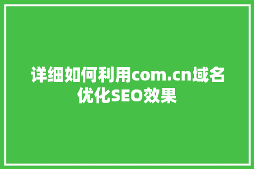 详细如何利用com.cn域名优化SEO效果