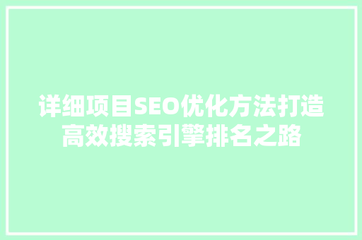 详细项目SEO优化方法打造高效搜索引擎排名之路