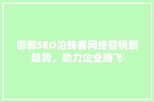 邯郸SEO泊蛛客网络营销新趋势，助力企业腾飞