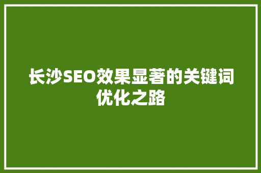 长沙SEO效果显著的关键词优化之路  第1张