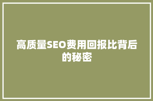 高质量SEO费用回报比背后的秘密