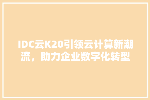 IDC云K20引领云计算新潮流，助力企业数字化转型  第1张