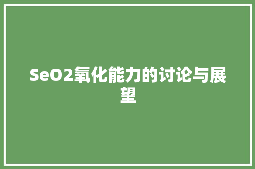 SeO2氧化能力的讨论与展望  第1张