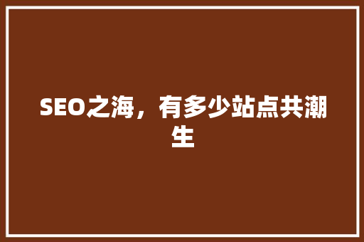 SEO之海，有多少站点共潮生