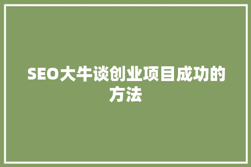 SEO大牛谈创业项目成功的方法