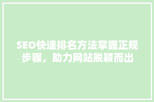 SEO快速排名方法掌握正规步骤，助力网站脱颖而出