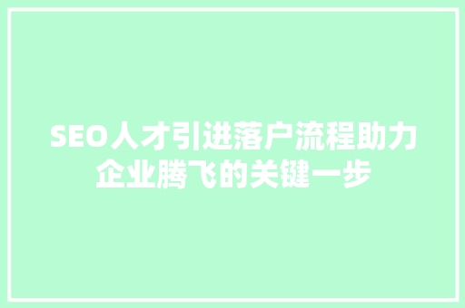 SEO人才引进落户流程助力企业腾飞的关键一步