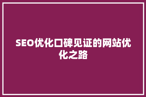 SEO优化口碑见证的网站优化之路