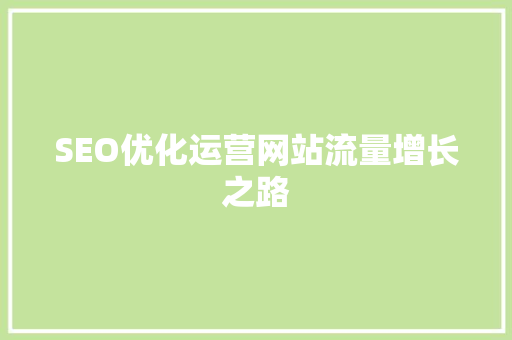 SEO优化运营网站流量增长之路