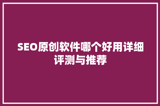 SEO原创软件哪个好用详细评测与推荐