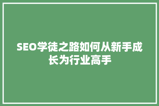 SEO学徒之路如何从新手成长为行业高手
