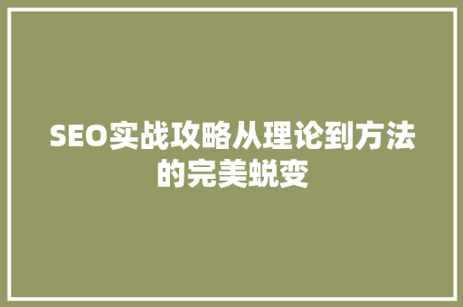 SEO实战攻略从理论到方法的完美蜕变  第1张