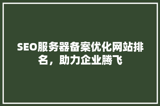 SEO服务器备案优化网站排名，助力企业腾飞