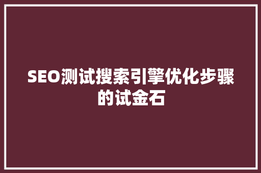 SEO测试搜索引擎优化步骤的试金石