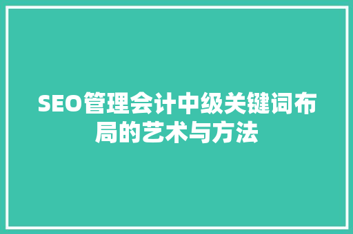 SEO管理会计中级关键词布局的艺术与方法
