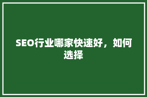 SEO行业哪家快速好，如何选择
