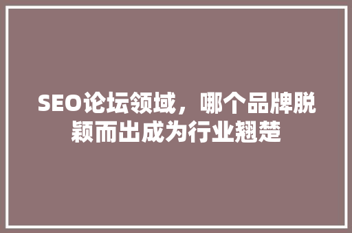 SEO论坛领域，哪个品牌脱颖而出成为行业翘楚  第1张