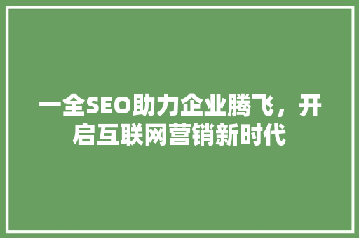 一全SEO助力企业腾飞，开启互联网营销新时代