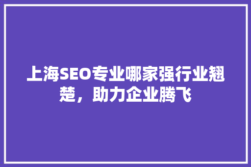 上海SEO专业哪家强行业翘楚，助力企业腾飞