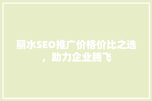 丽水SEO推广价格价比之选，助力企业腾飞