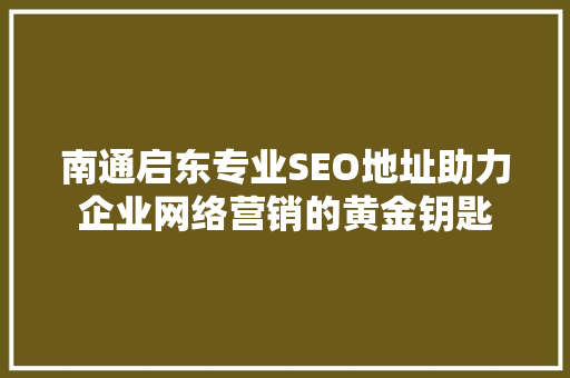 南通启东专业SEO地址助力企业网络营销的黄金钥匙