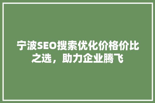 宁波SEO搜索优化价格价比之选，助力企业腾飞
