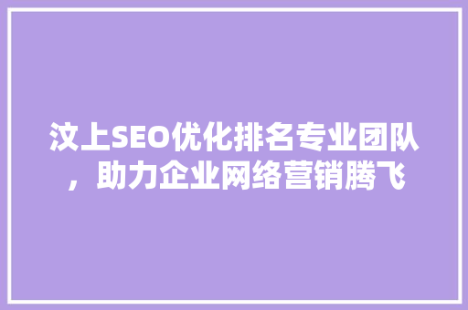 汶上SEO优化排名专业团队，助力企业网络营销腾飞