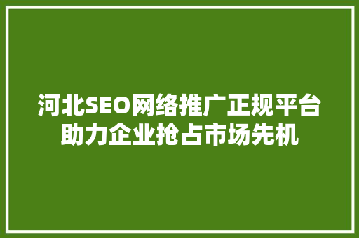 河北SEO网络推广正规平台助力企业抢占市场先机