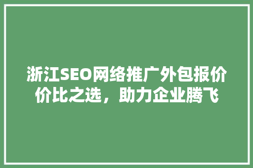 浙江SEO网络推广外包报价价比之选，助力企业腾飞