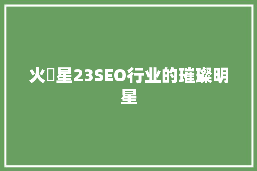 火亅星23SEO行业的璀璨明星  第1张