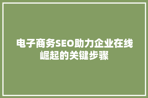 电子商务SEO助力企业在线崛起的关键步骤